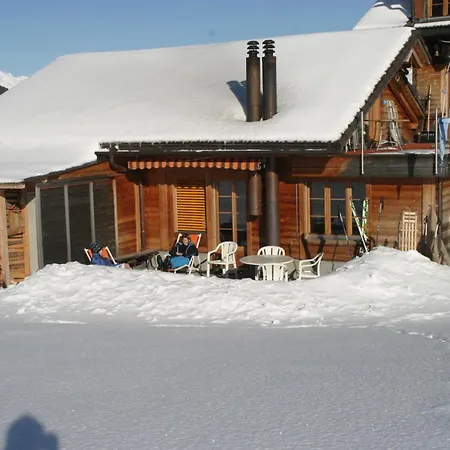 Bergdohle Adelboden