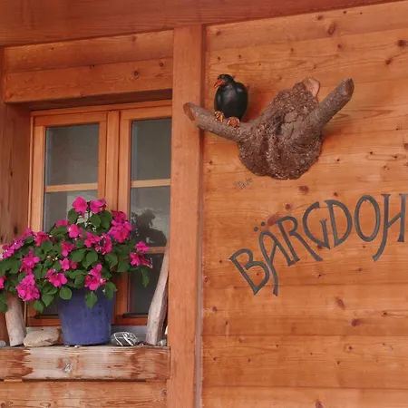 Bergdohle Apartamento *
