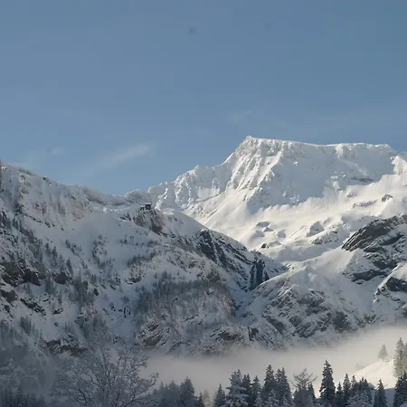 Bergdohle Adelboden