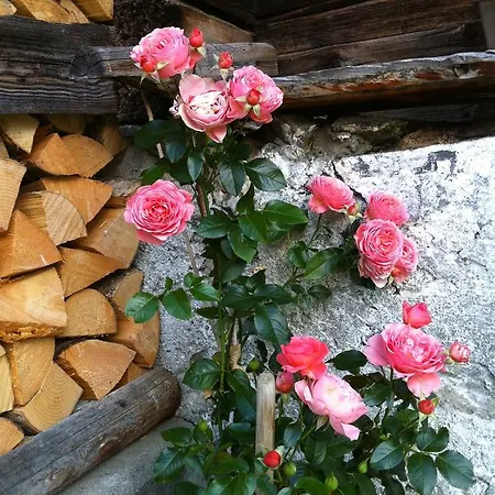 Appartamento Bergdohle *