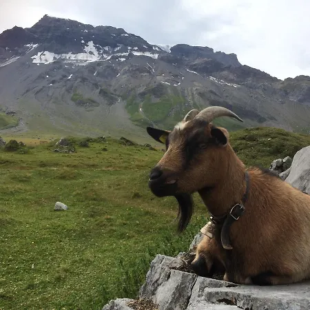 Appartamento Bergdohle