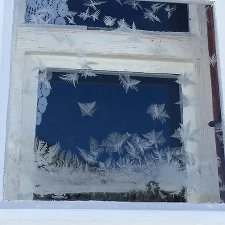 Bergdohle Appartamento Adelboden