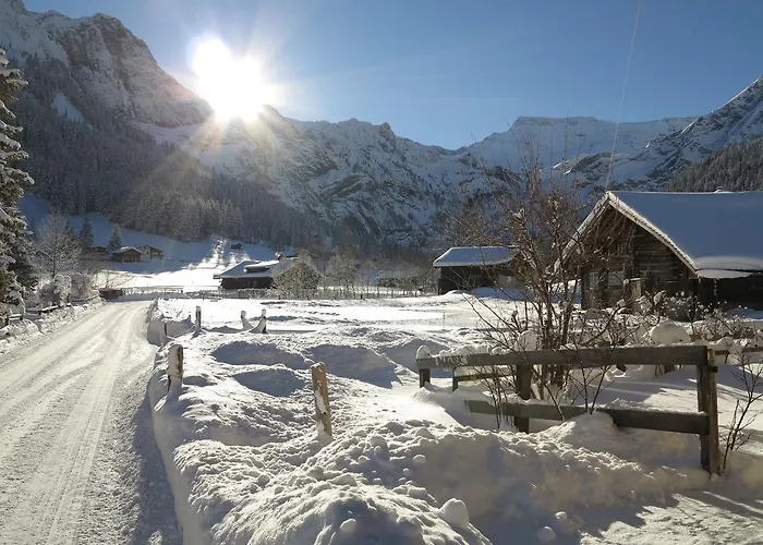 Lejlighed Bergdohle Adelboden