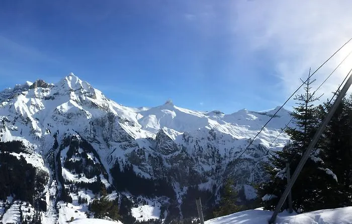 Bergdohle * Adelboden