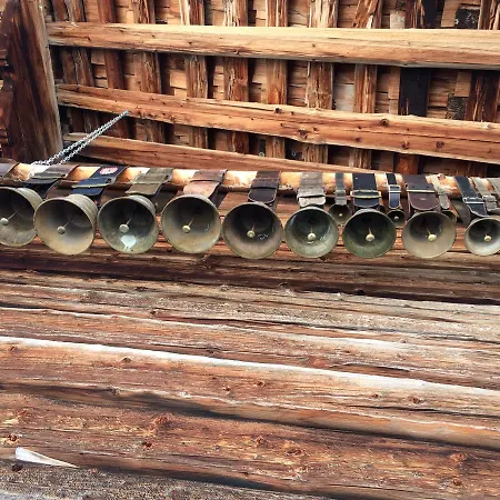Bergdohle 아파트 아델보덴
