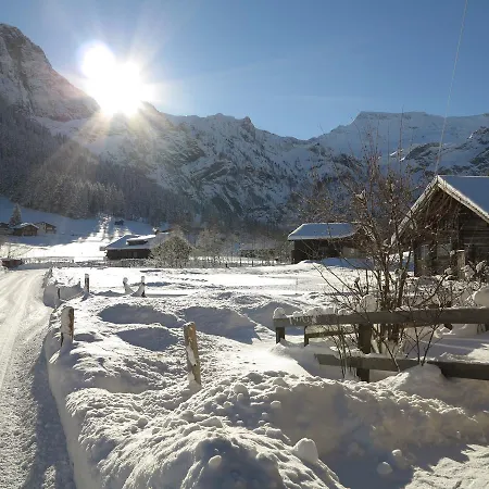 Apartament Bergdohle Adelboden