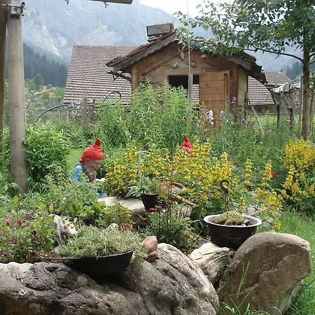Bergdohle Adelboden