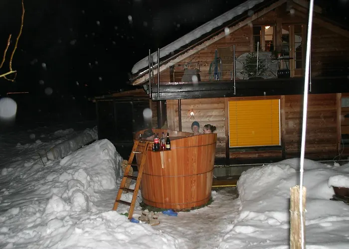 Lejlighed Bergdohle Adelboden