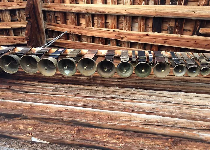 Bergdohle Lejlighed Adelboden