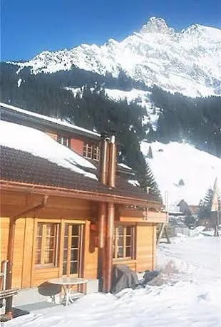 Bergdohle Adelboden