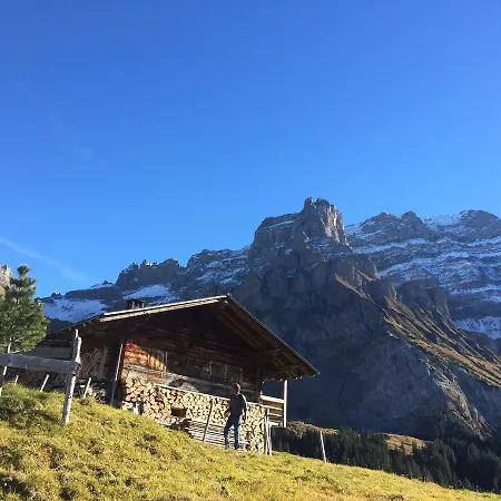 Bergdohle Apartment Adelboden