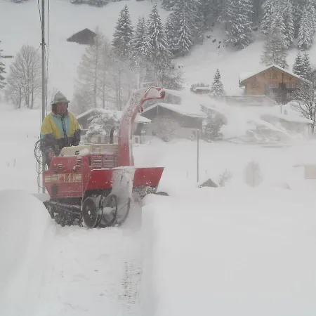Bergdohle Apartment Adelboden