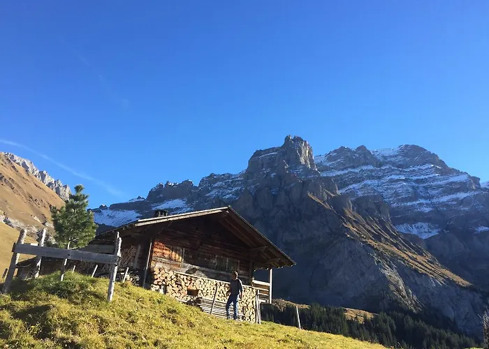 Bergdohle Apartment Adelboden