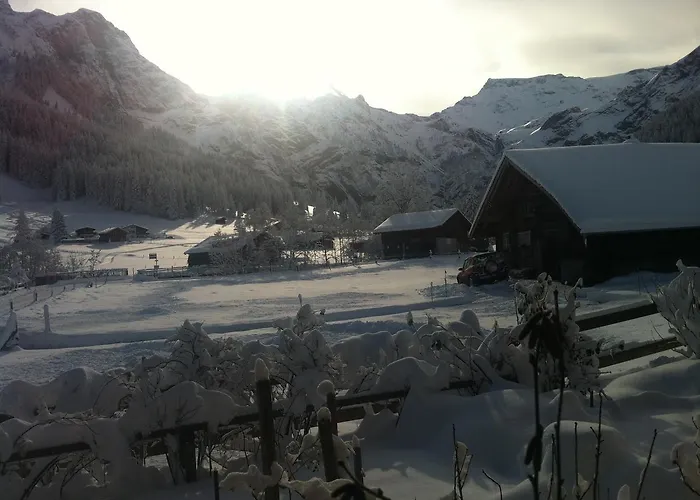 Apartment Bergdohle Adelboden