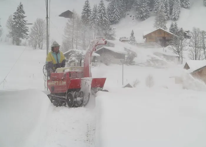 Bergdohle Apartment Adelboden